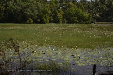 01 Holiday_Inn_to_Magao_by_cab,_Goa_DSC7645_b_H600